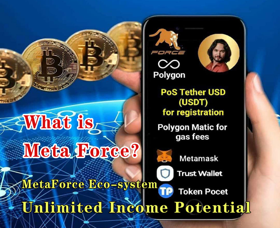 What is Meta Force?